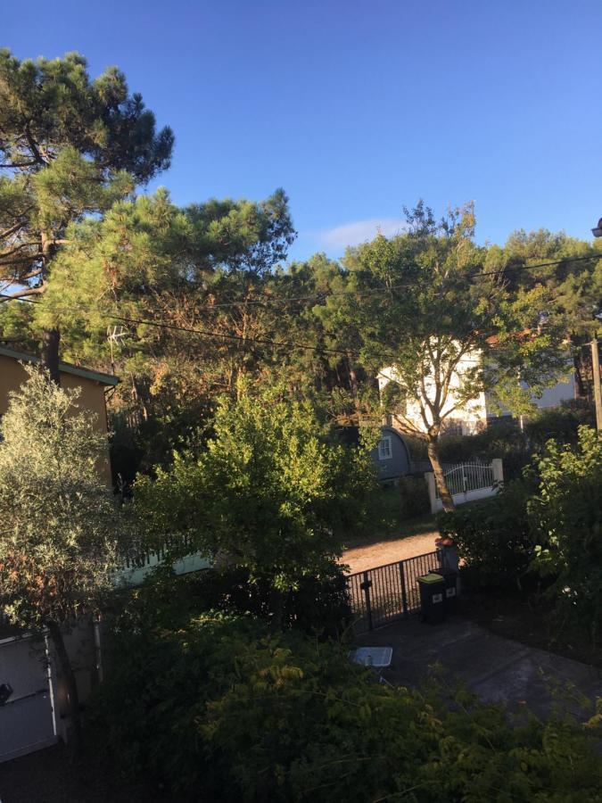 Villa L'Amiraute Agde Exteriör bild